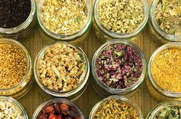 čistenie tela od parazitov pomocou ľudových prostriedkov