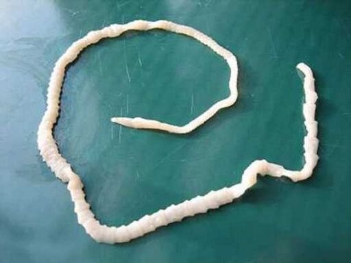 ľudská bravčová pásomnica